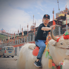 瘋語不曬太陽
