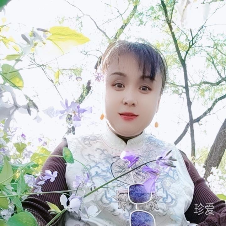 晨儿