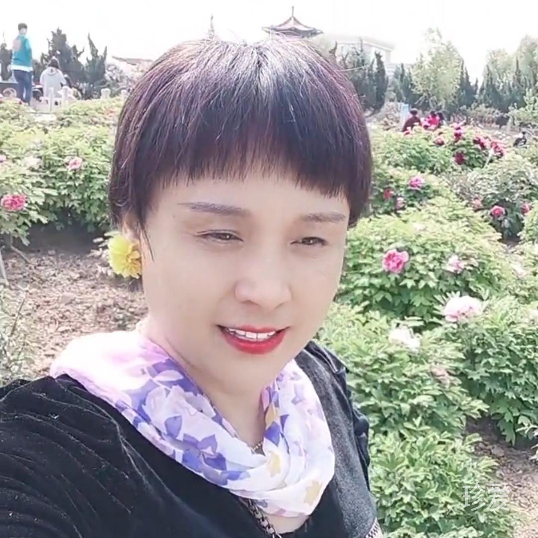 晨儿