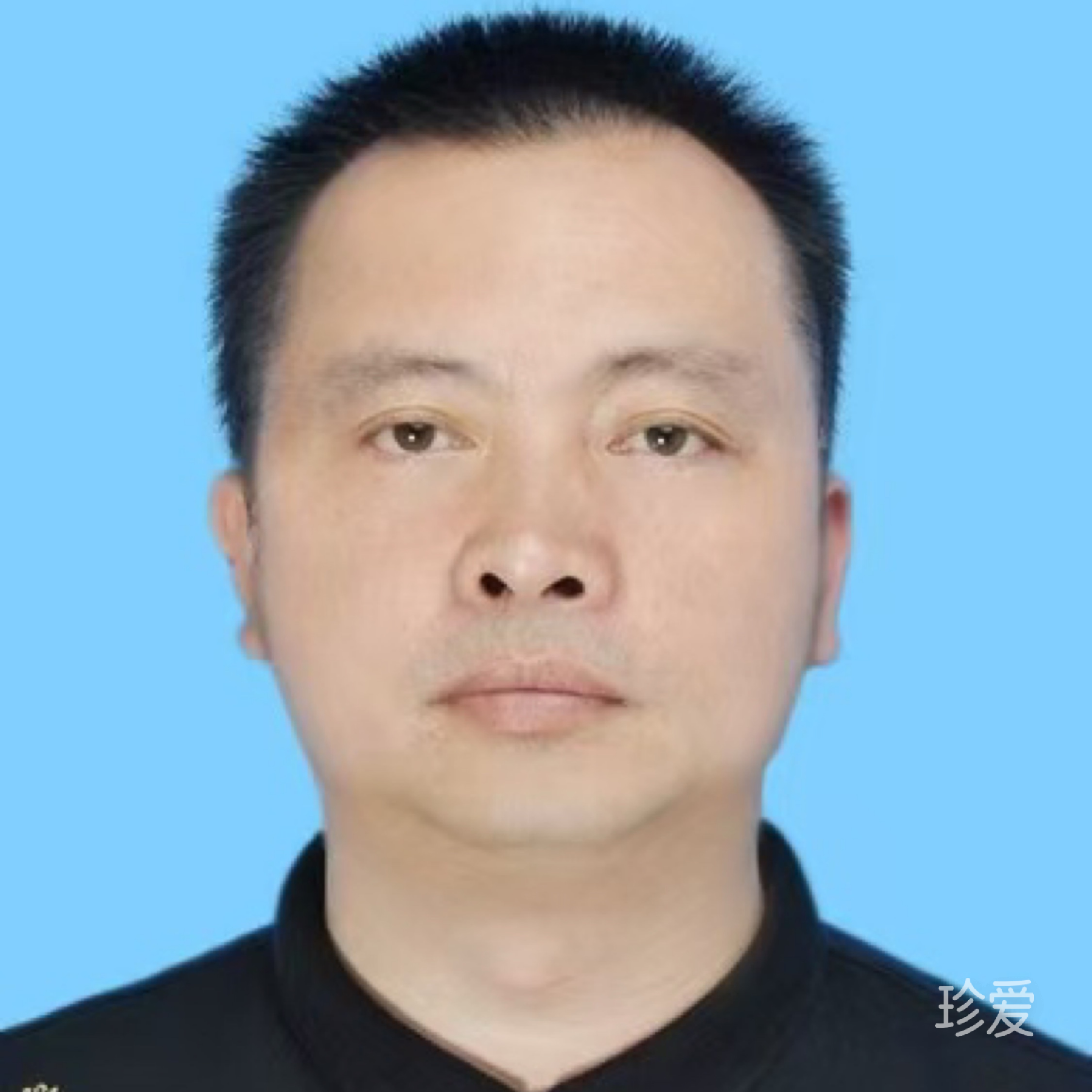 沙漠一条鱼