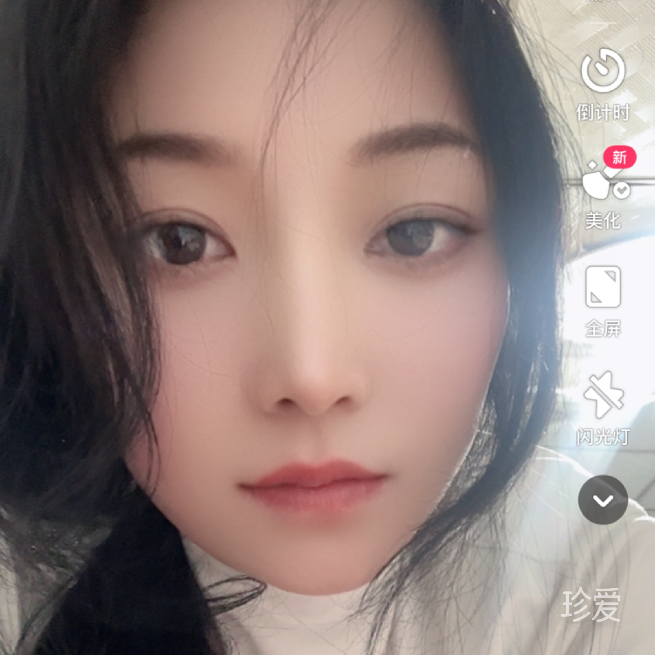 永不放弃的候鸟