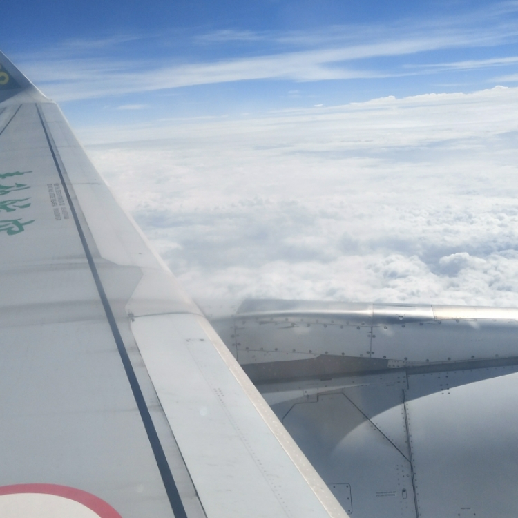 心如止水脈搏停歇