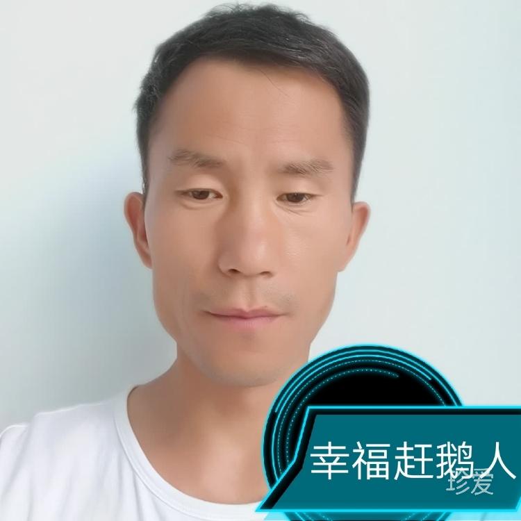 幸福赶鹅人