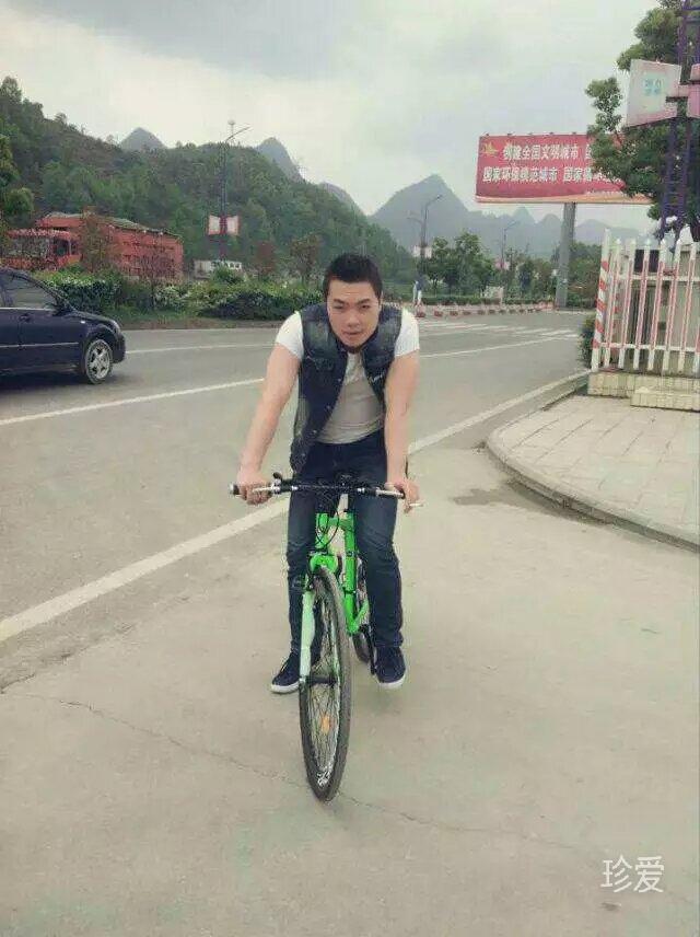 我是一号招财猫