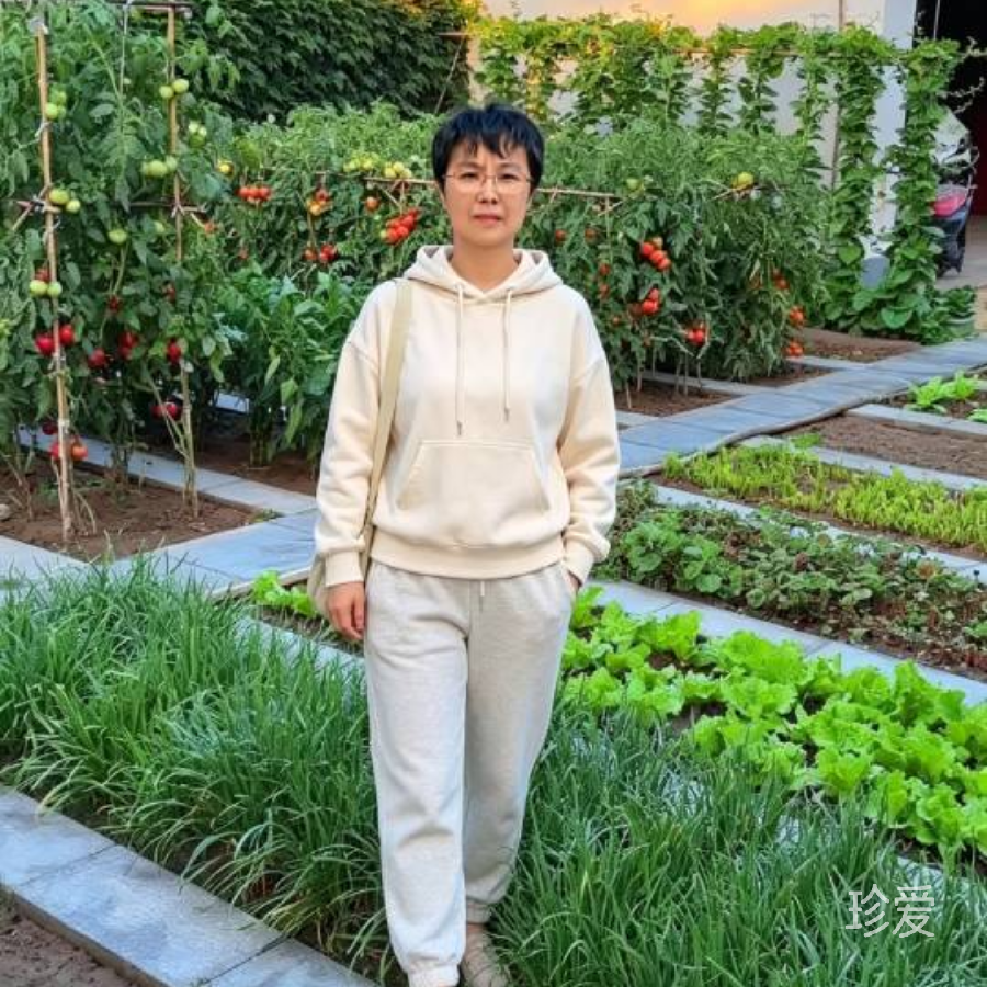 艾香大使