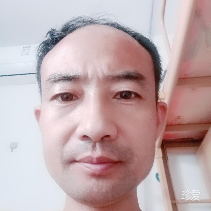 阳光总在风雨后