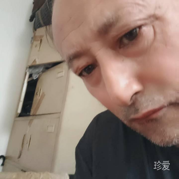 绿树