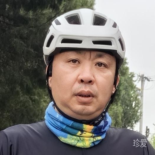 坐在岸边的鱼