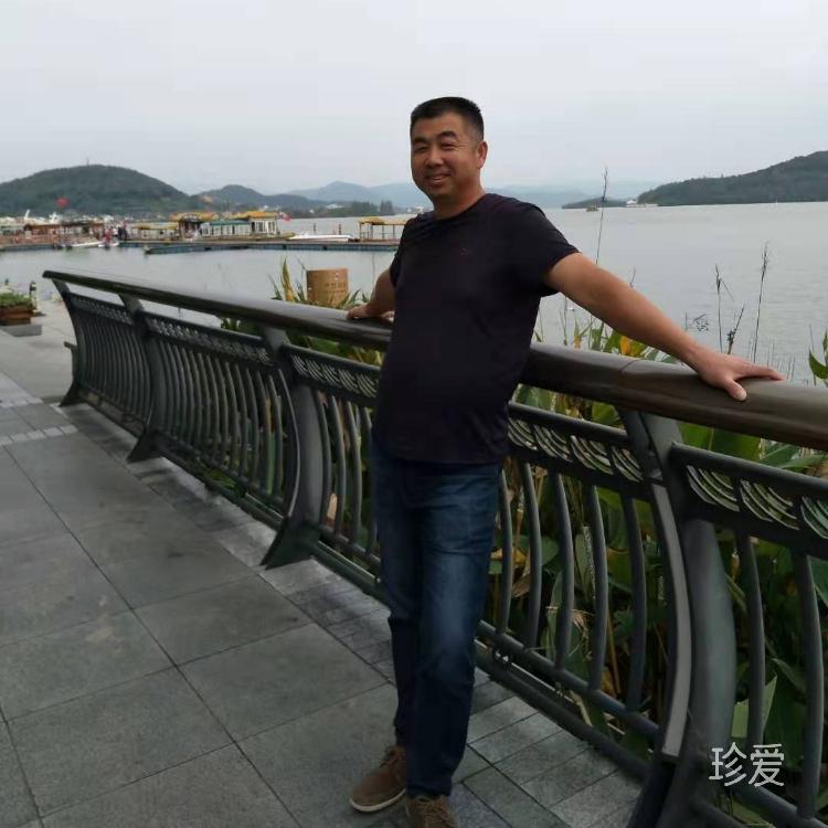 真心对你好