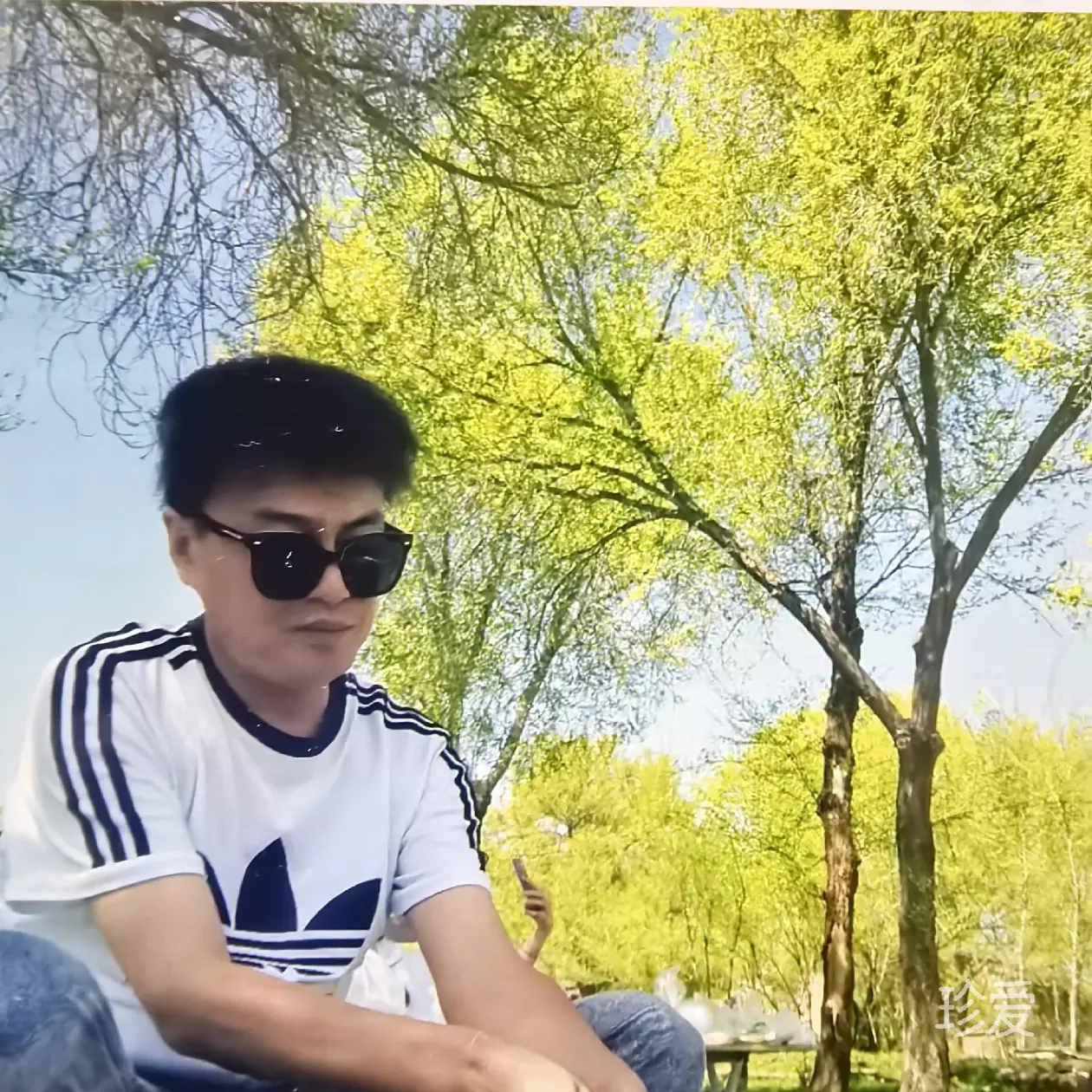 一片情