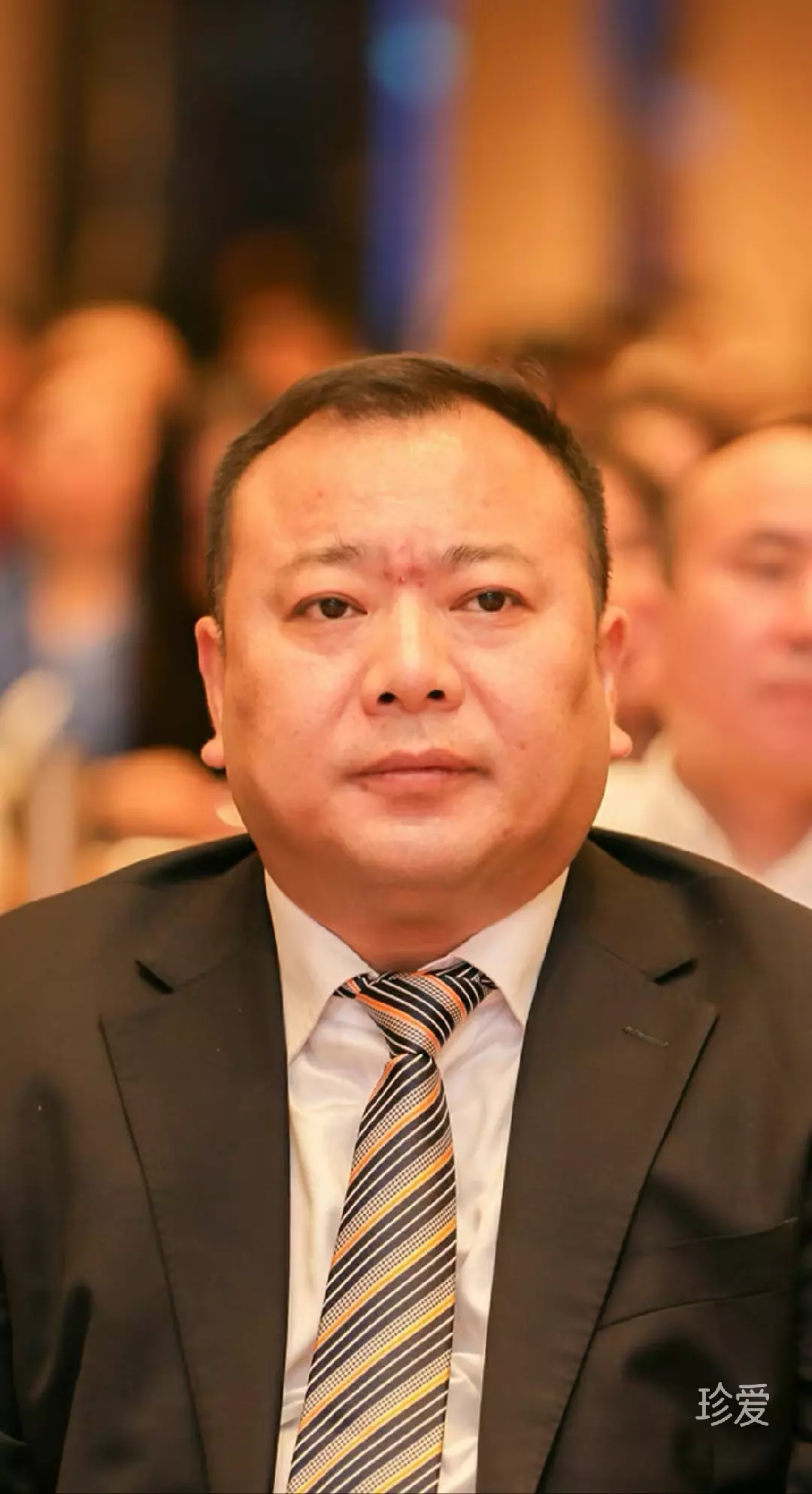 小白杨