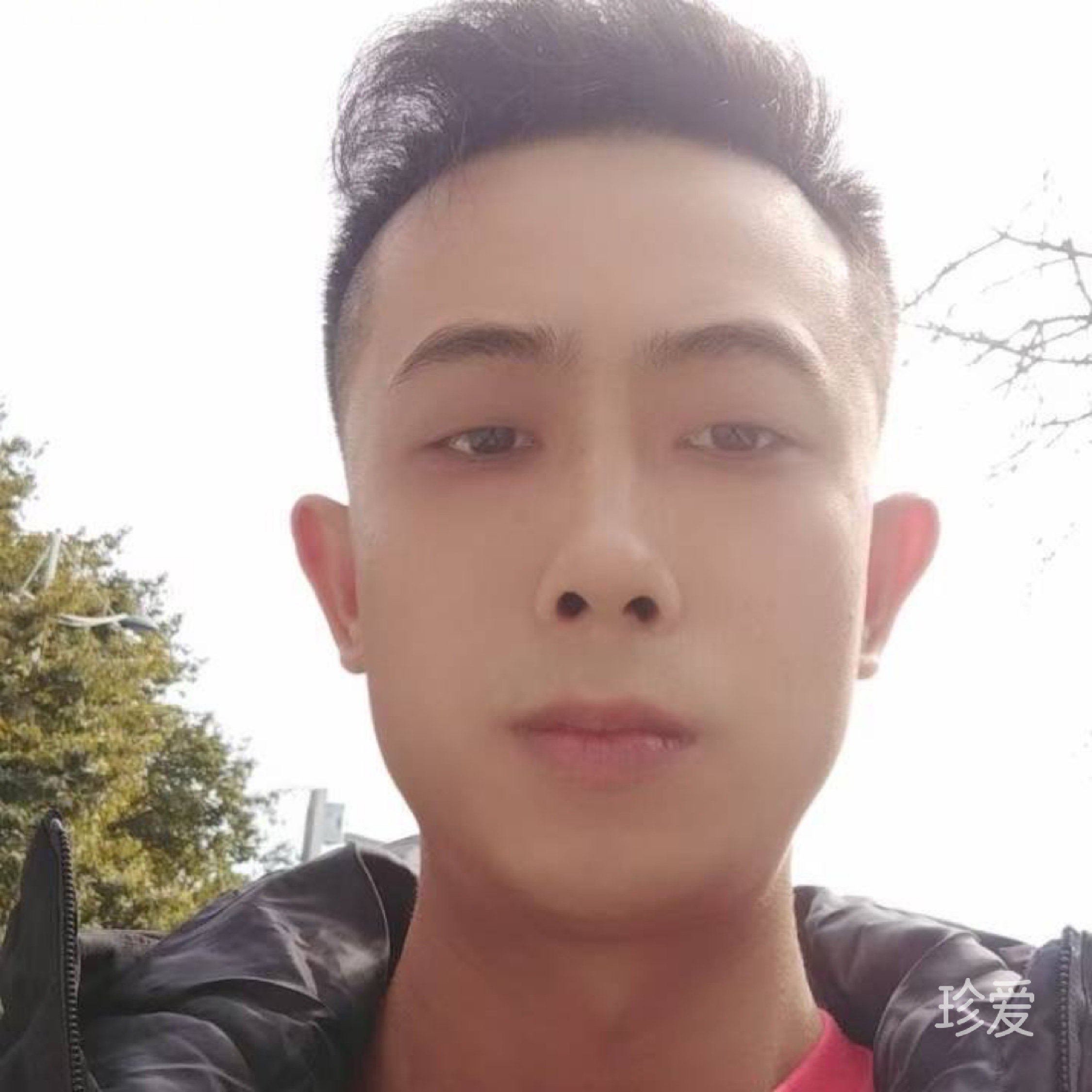 龙魁