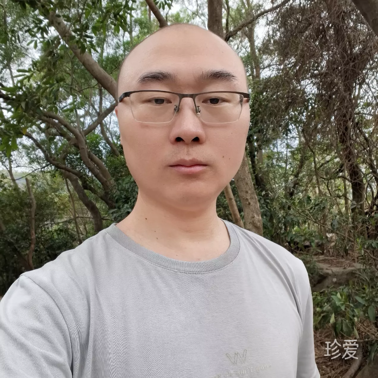 麾之不去
