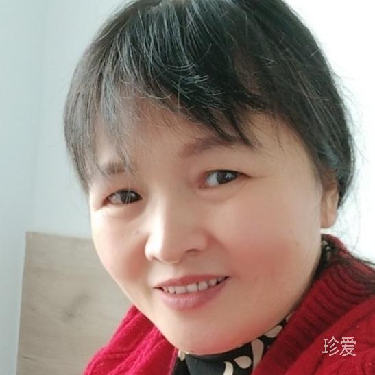流浪的小熊