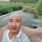 老樹根