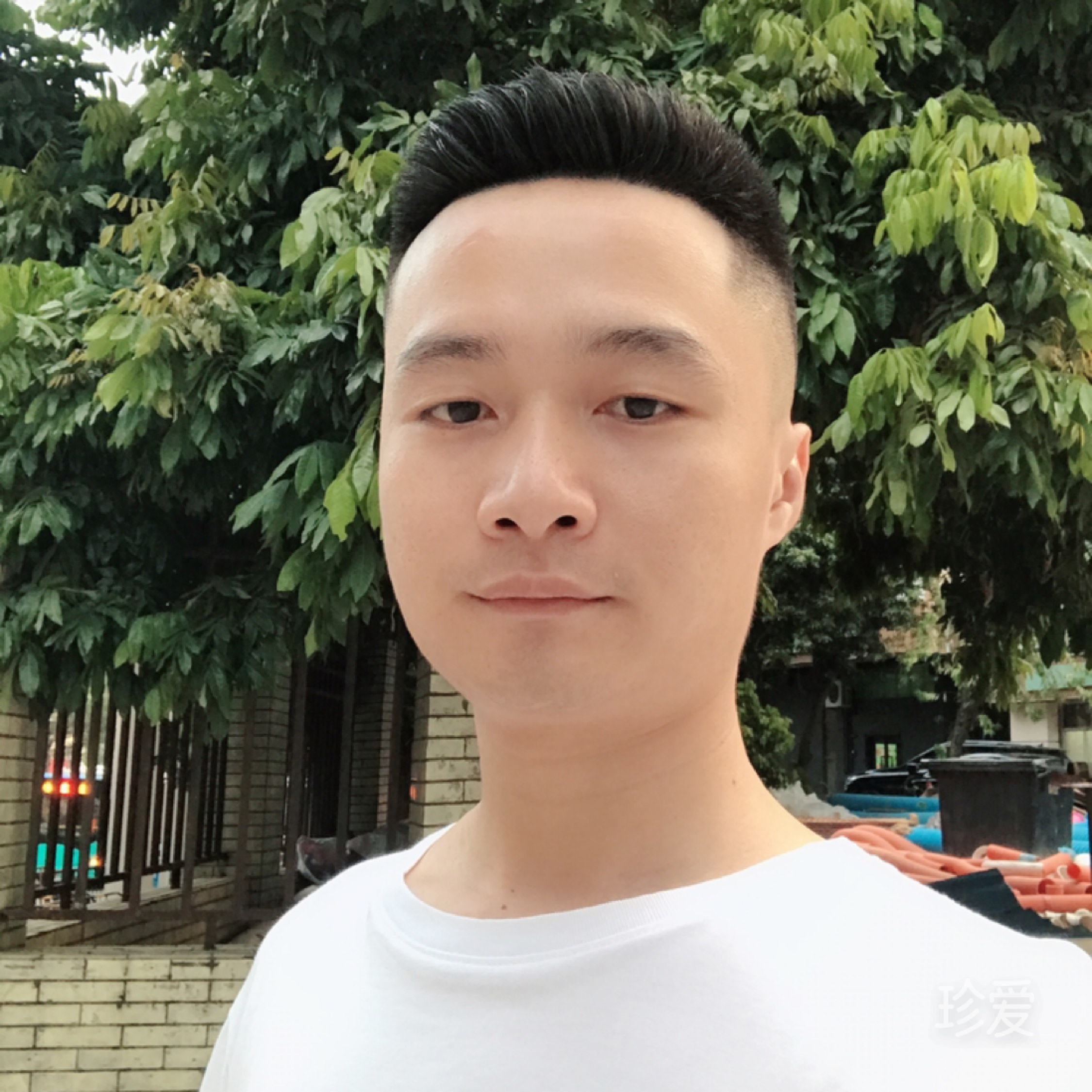 文龙