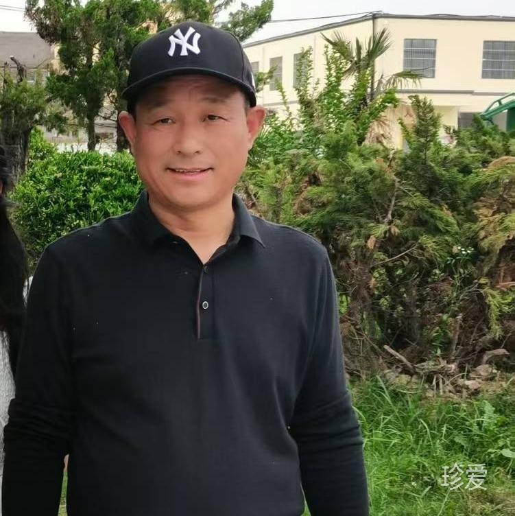 简单点