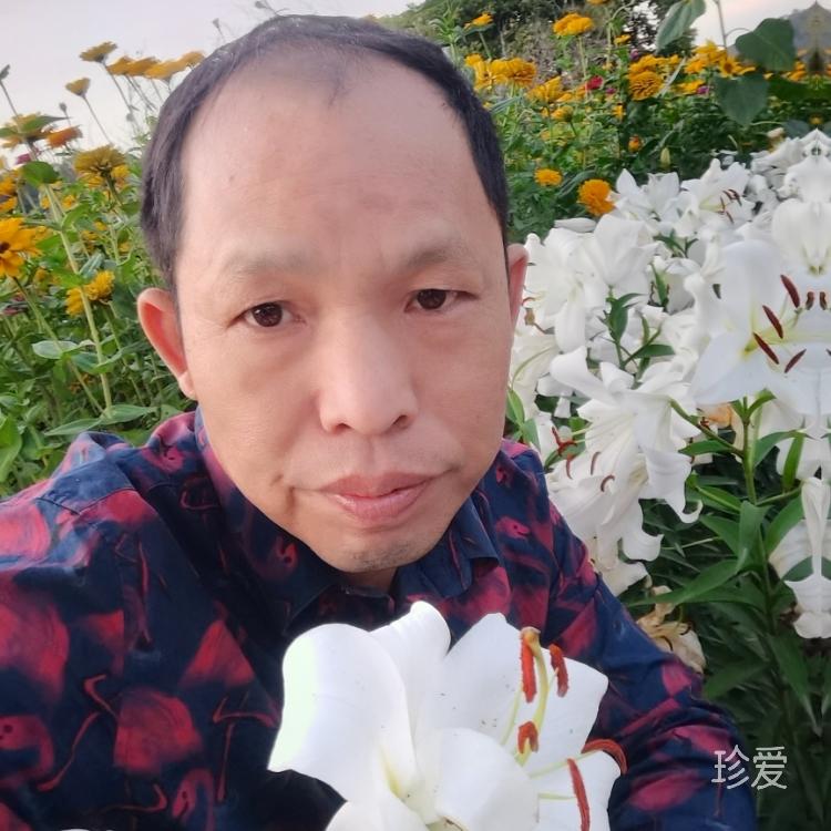 醉生夢死念紅顏