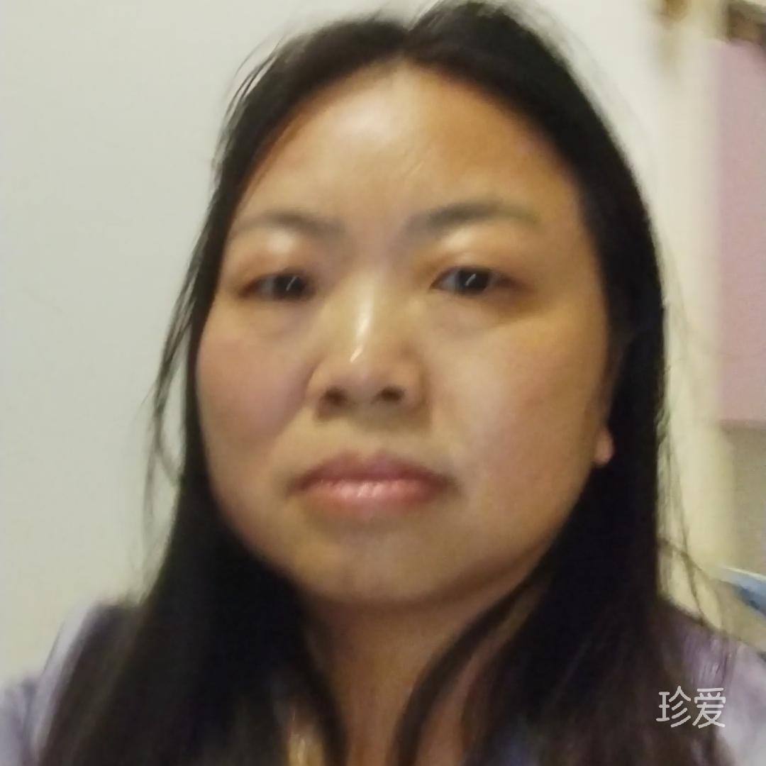 东方飞鸿