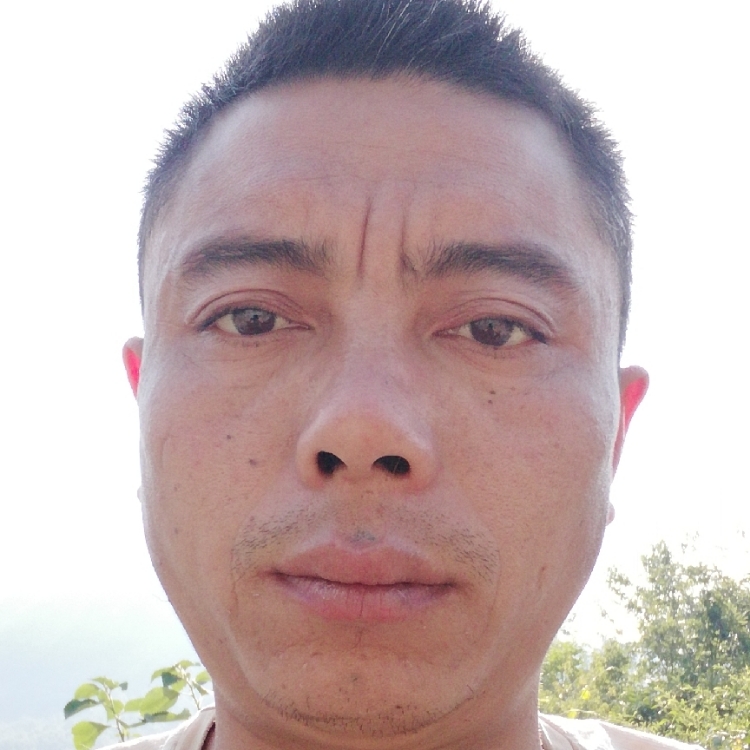 媳妇快到碗里来