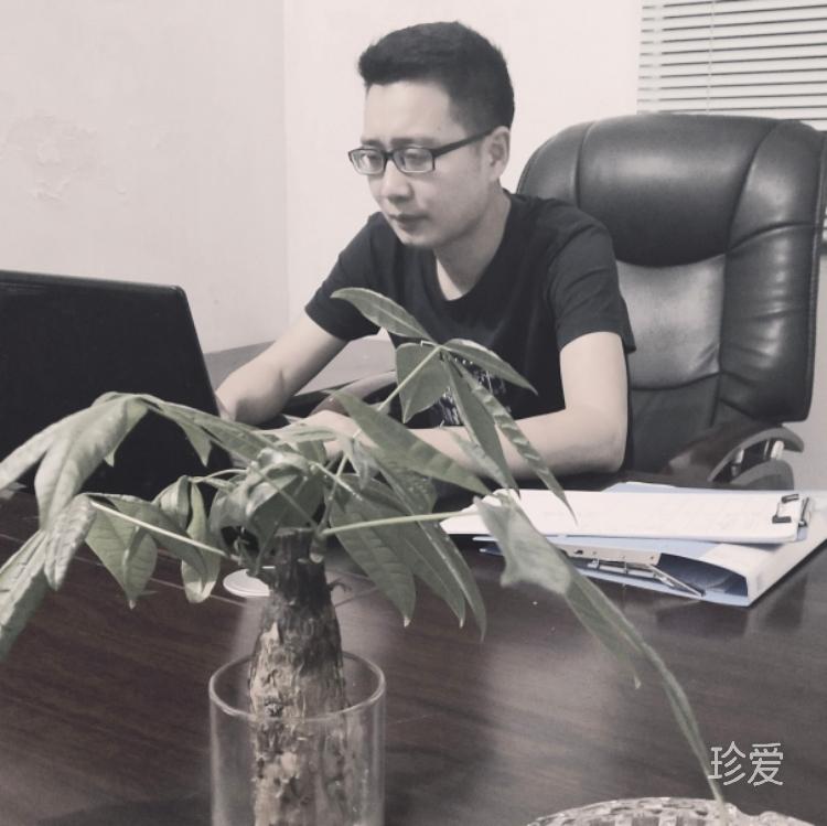 问春风