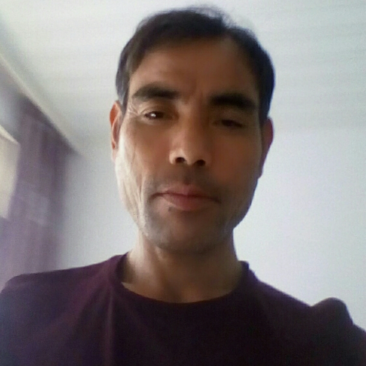 守候今生的你的我h