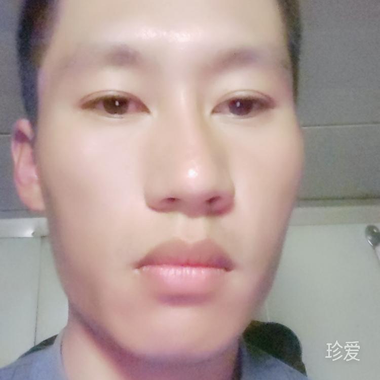 不許人間見白頭