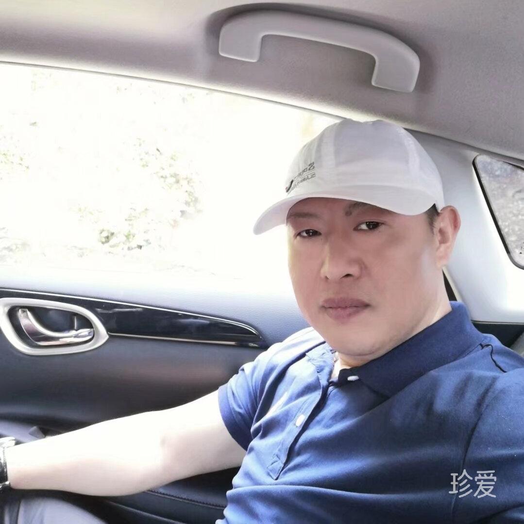 风中一匹马