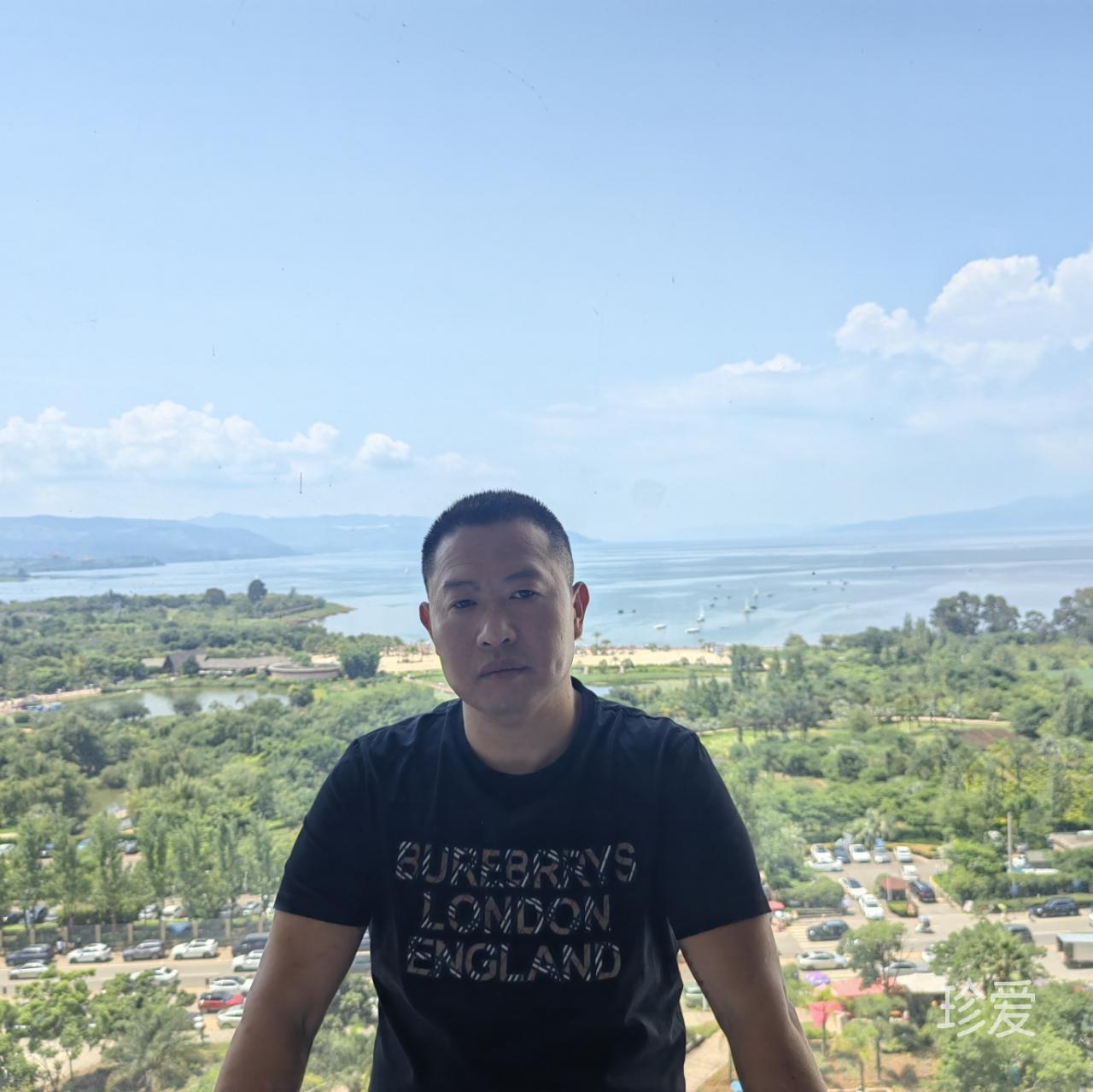 风中一匹马