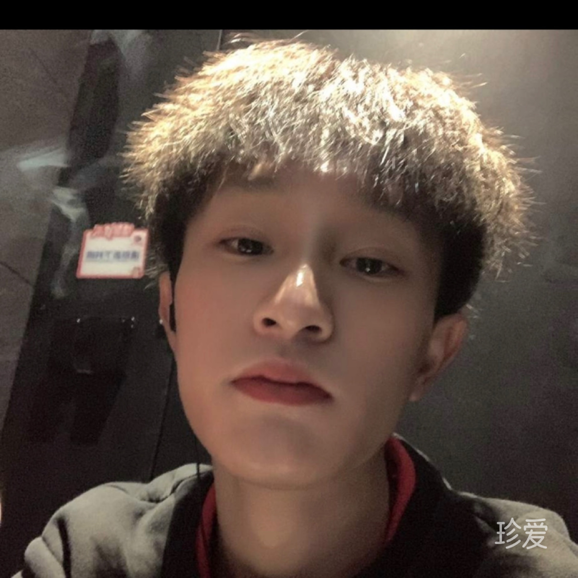 等風(fēng)也等你