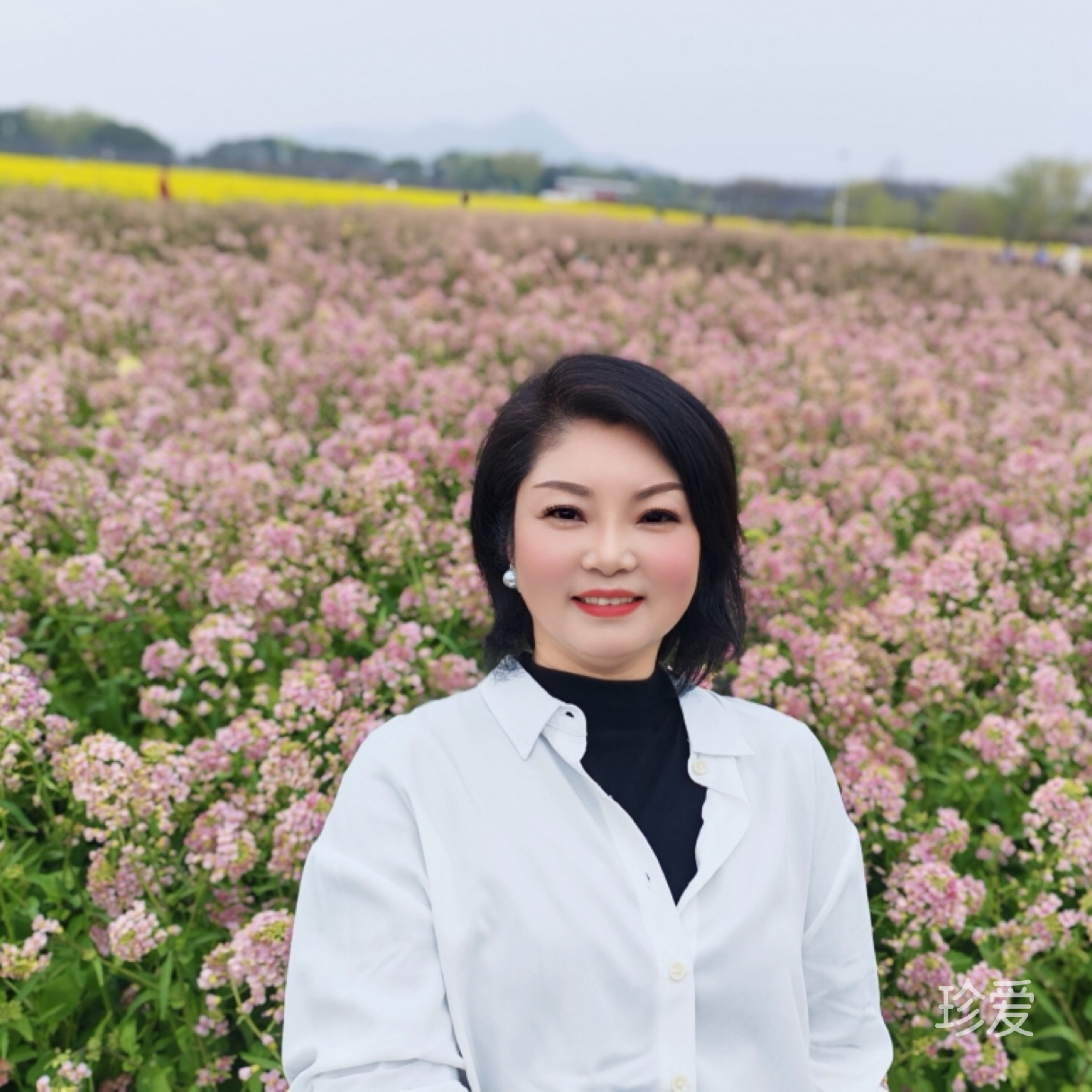 好运绵绵