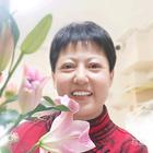 風(fēng)雨中的煙華