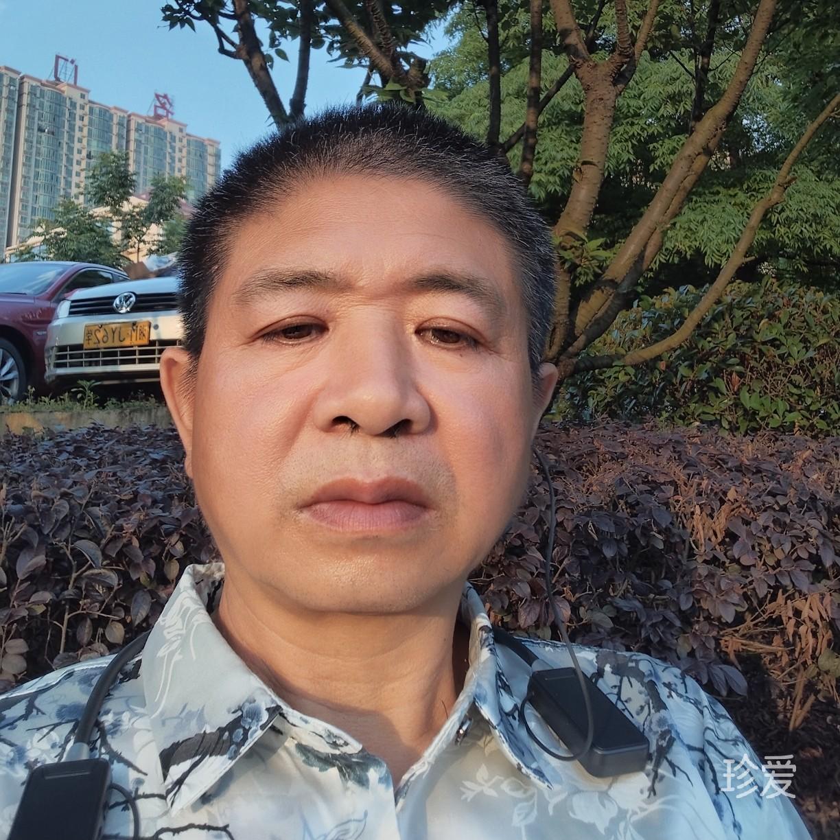 弃智