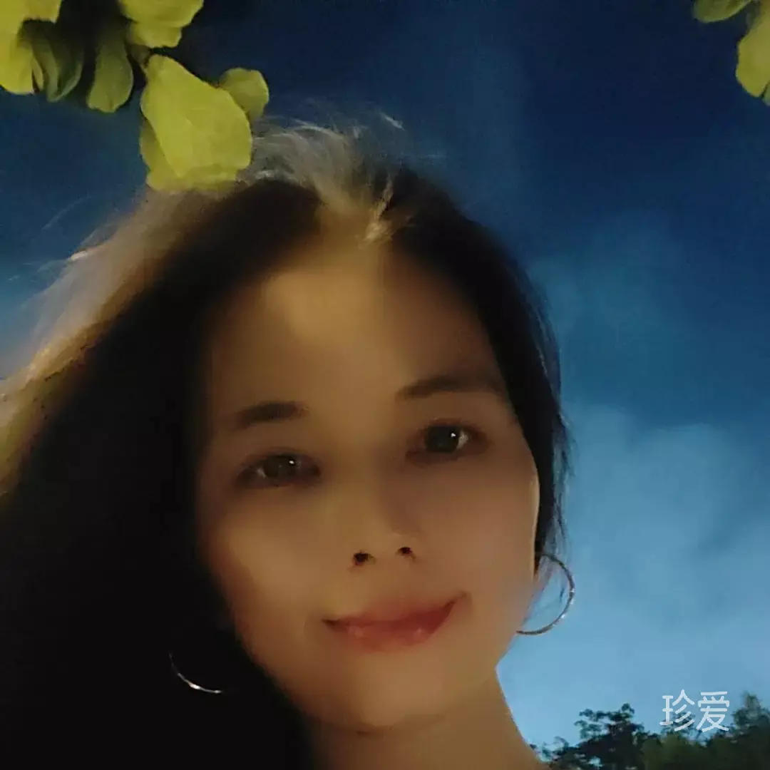 苏晚