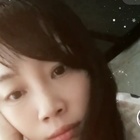 單飛的雁