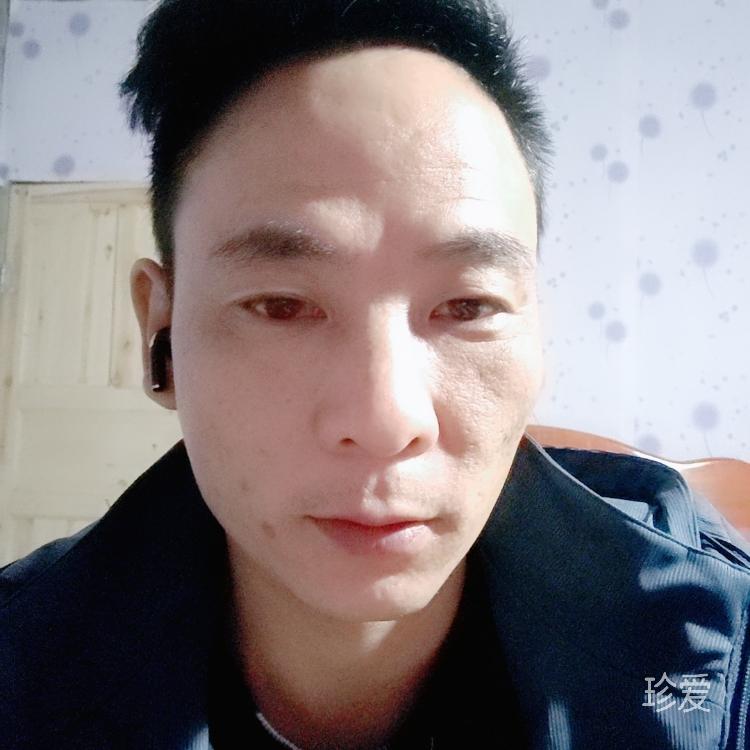 夢想與現實之間