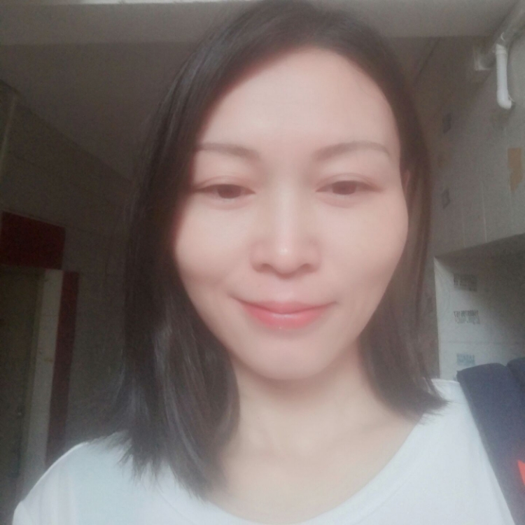 凉巷的花猫