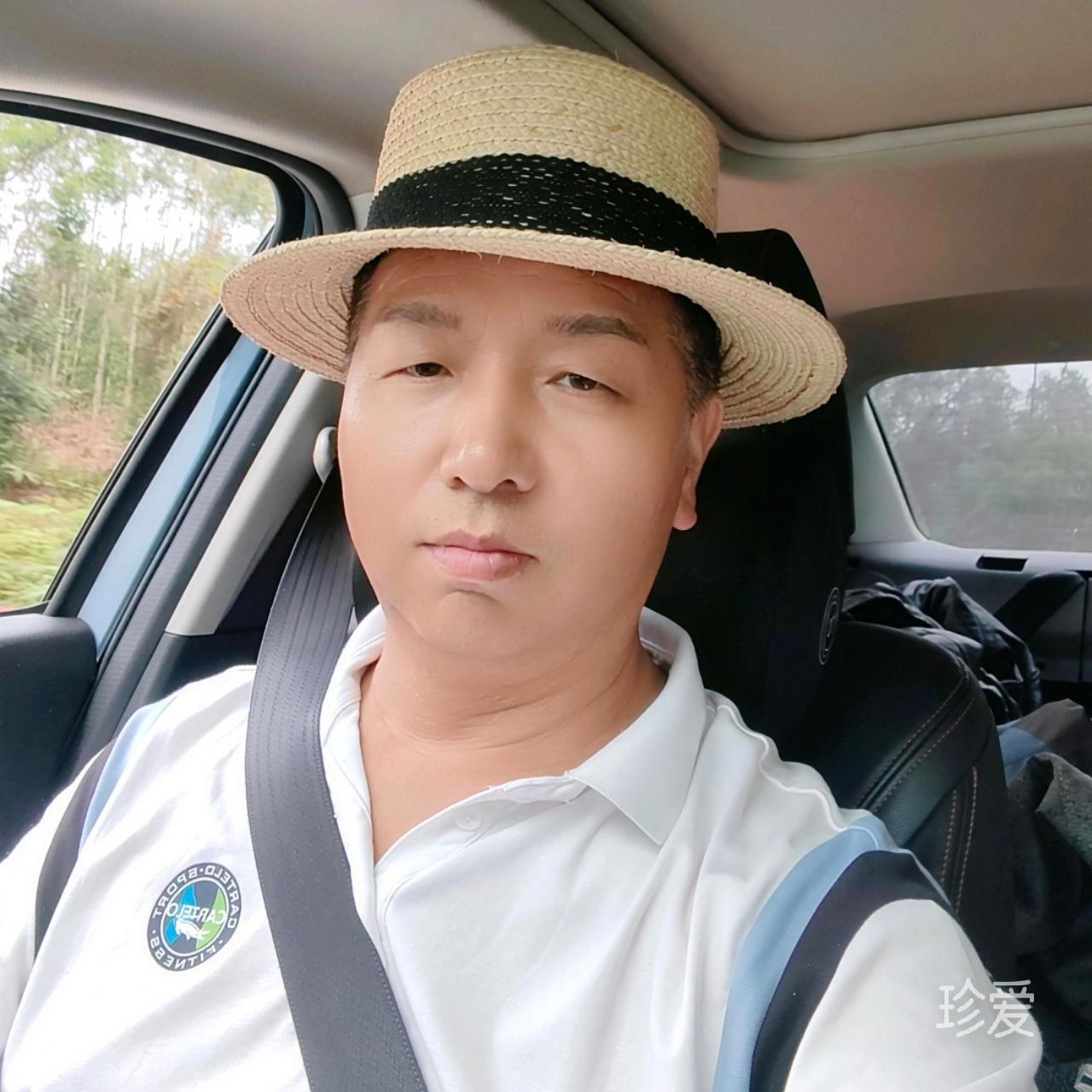 纯真的大象