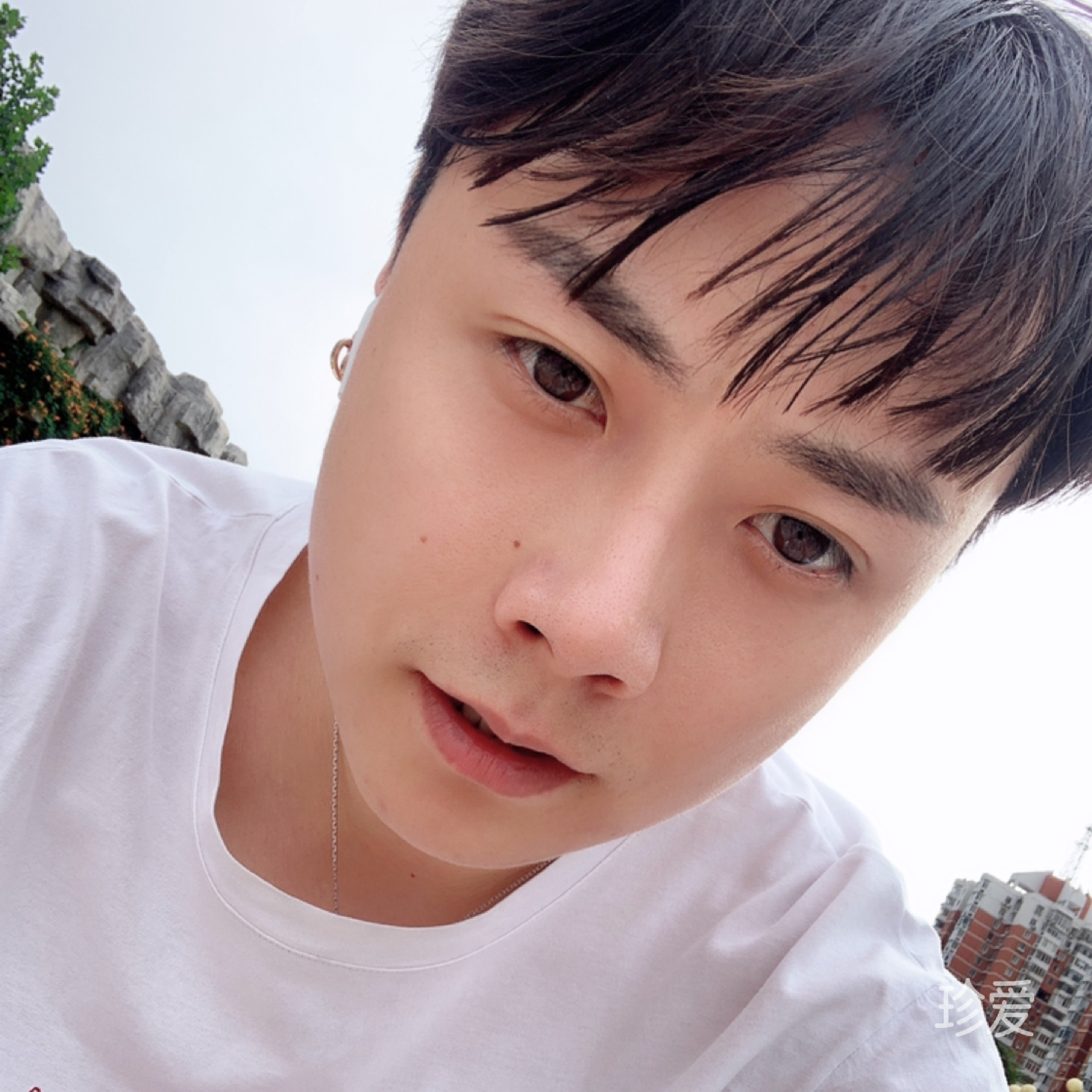 晴均白龙