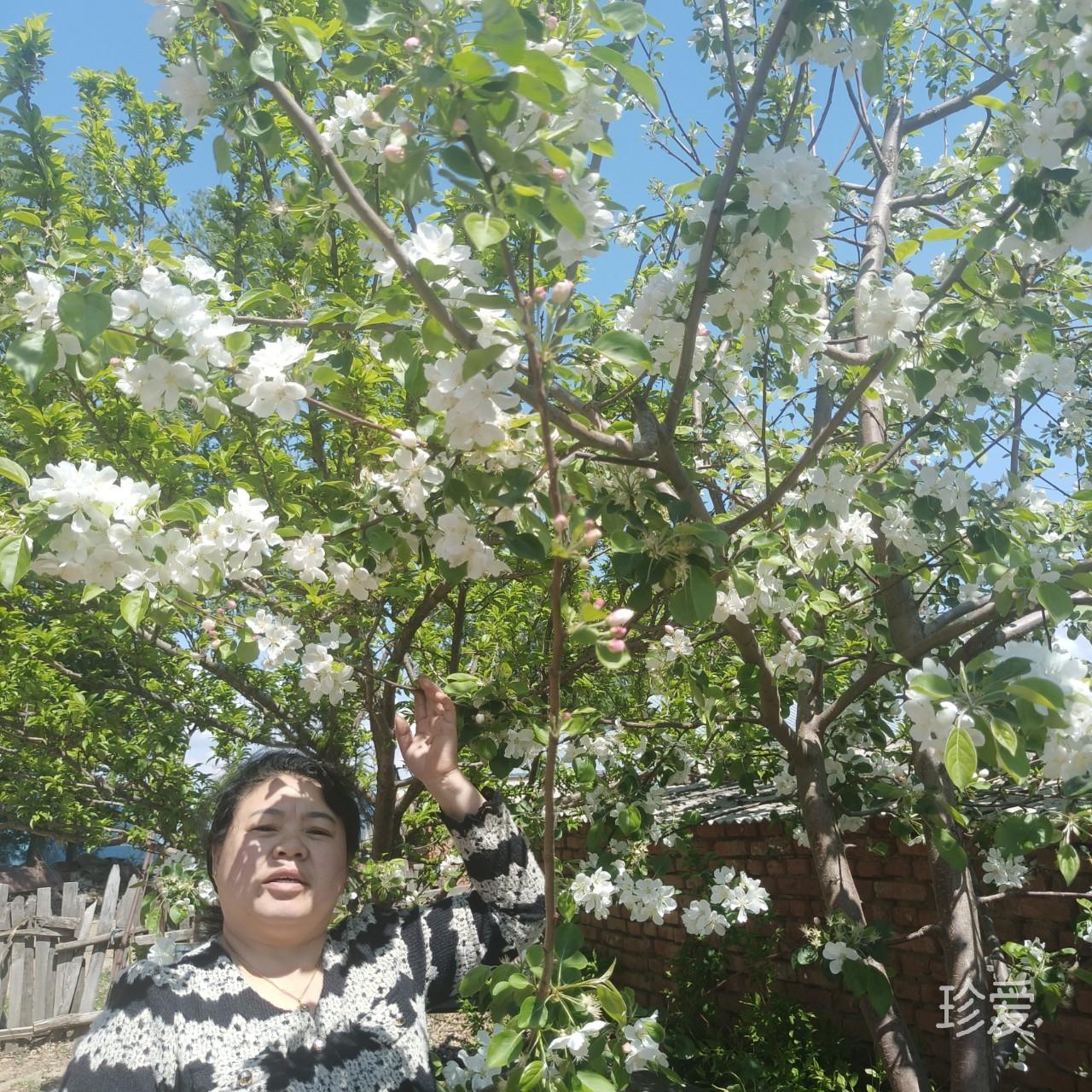 只想有人深愛我