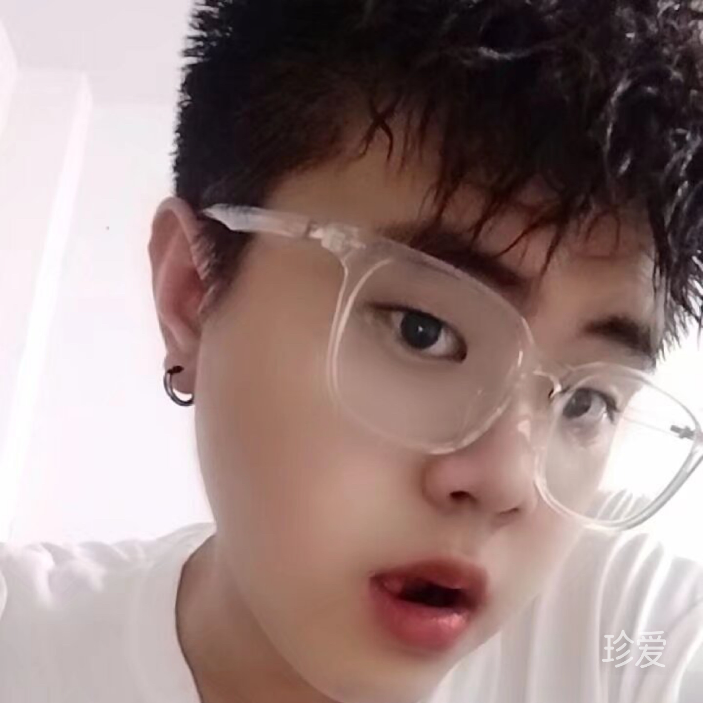 大海里的小猪