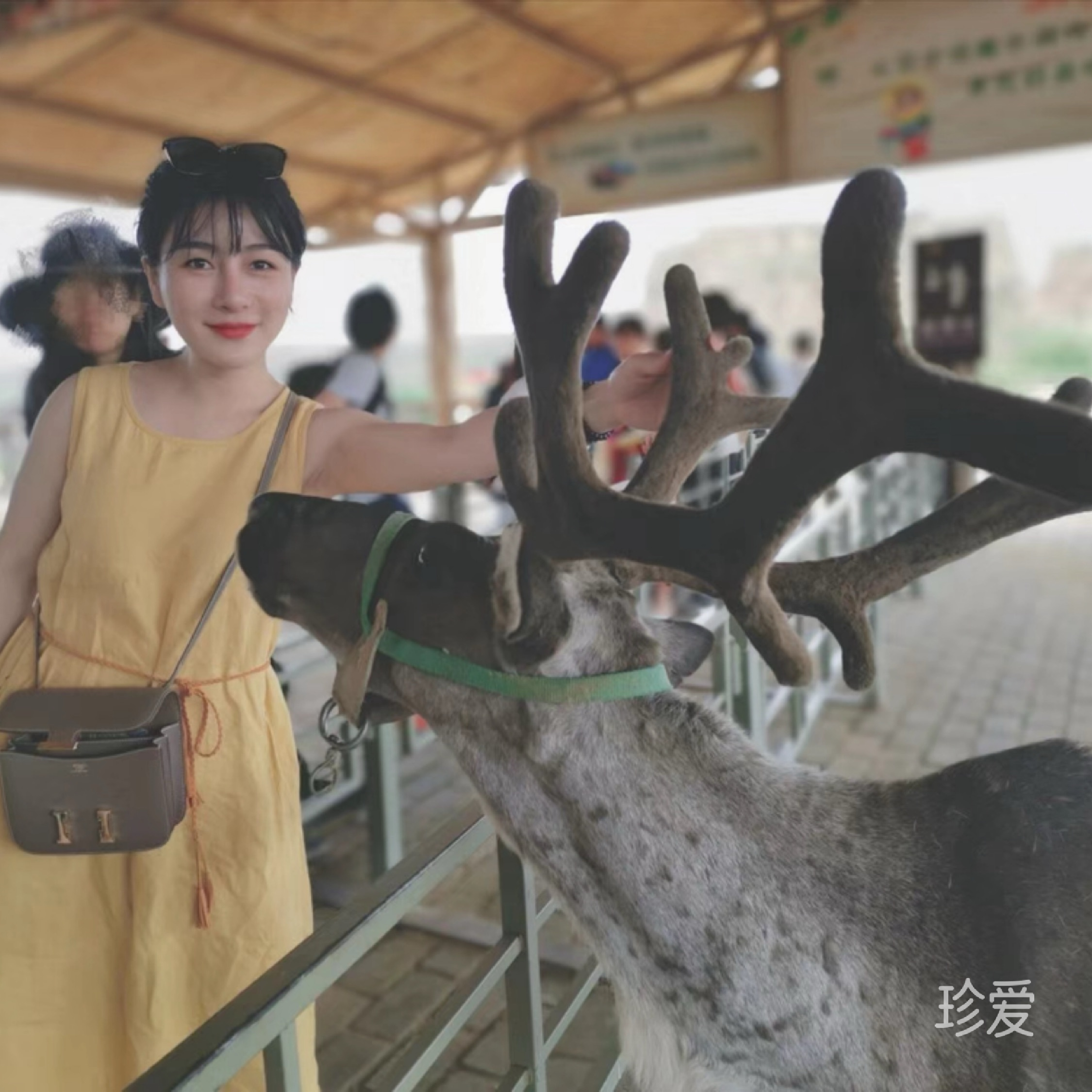 美美丽子