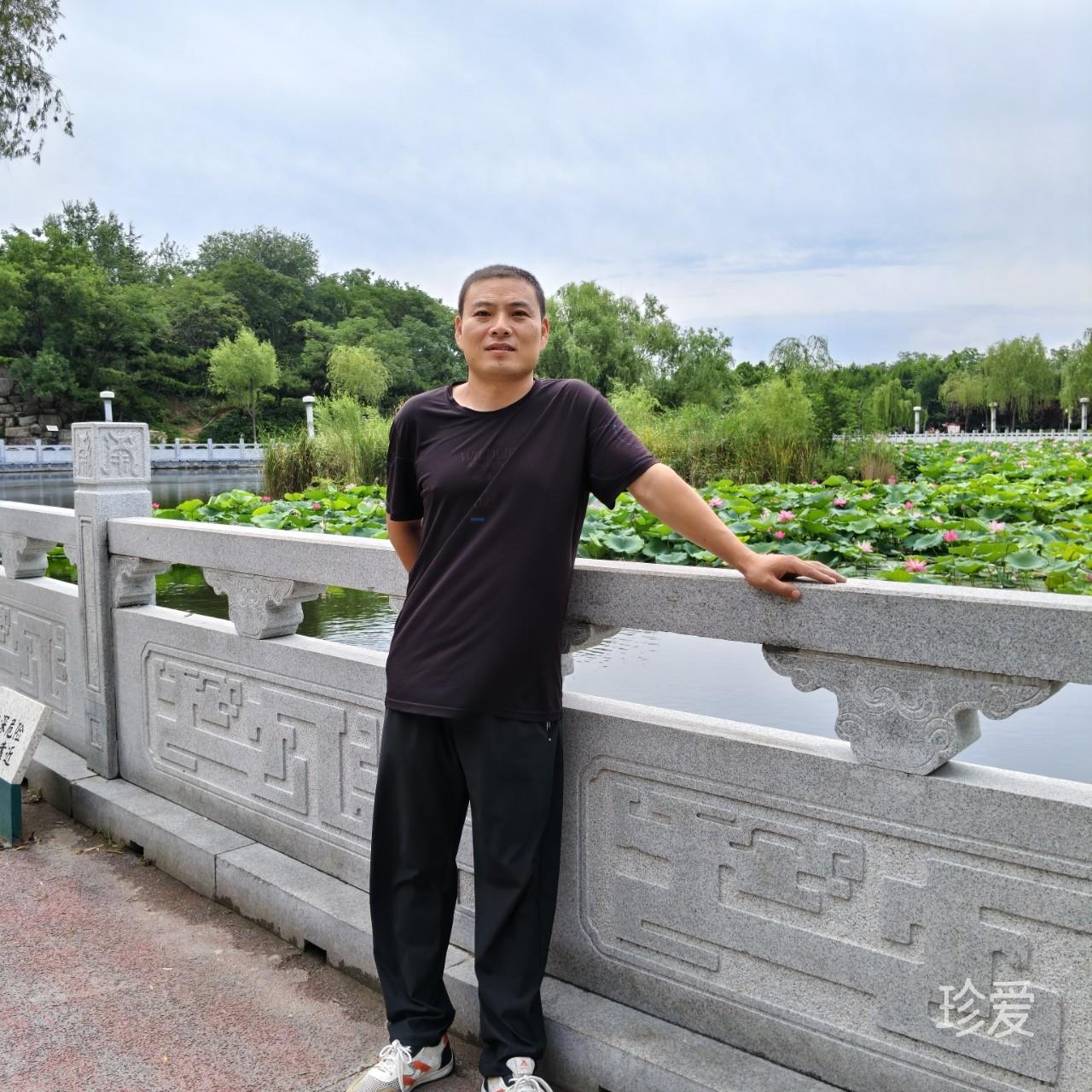 昨夜又春风