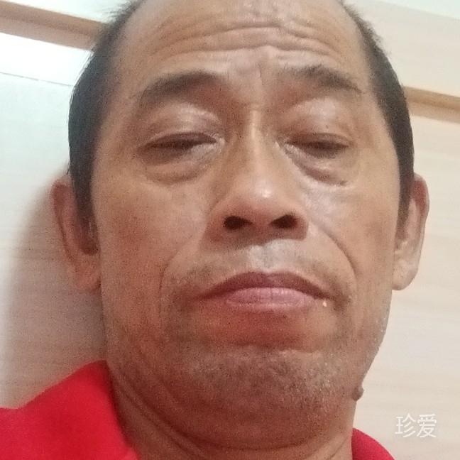 我是一條魚(yú)