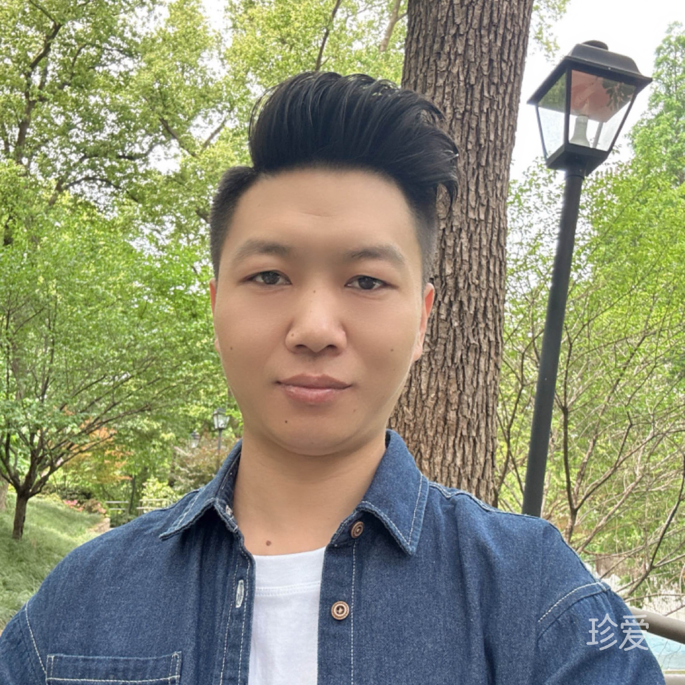 清照