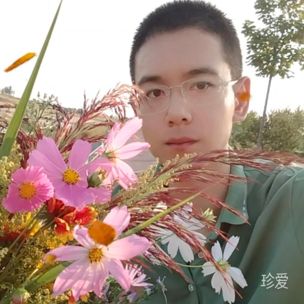 雨沙汀兰