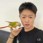 穩(wěn)定的快樂(lè)