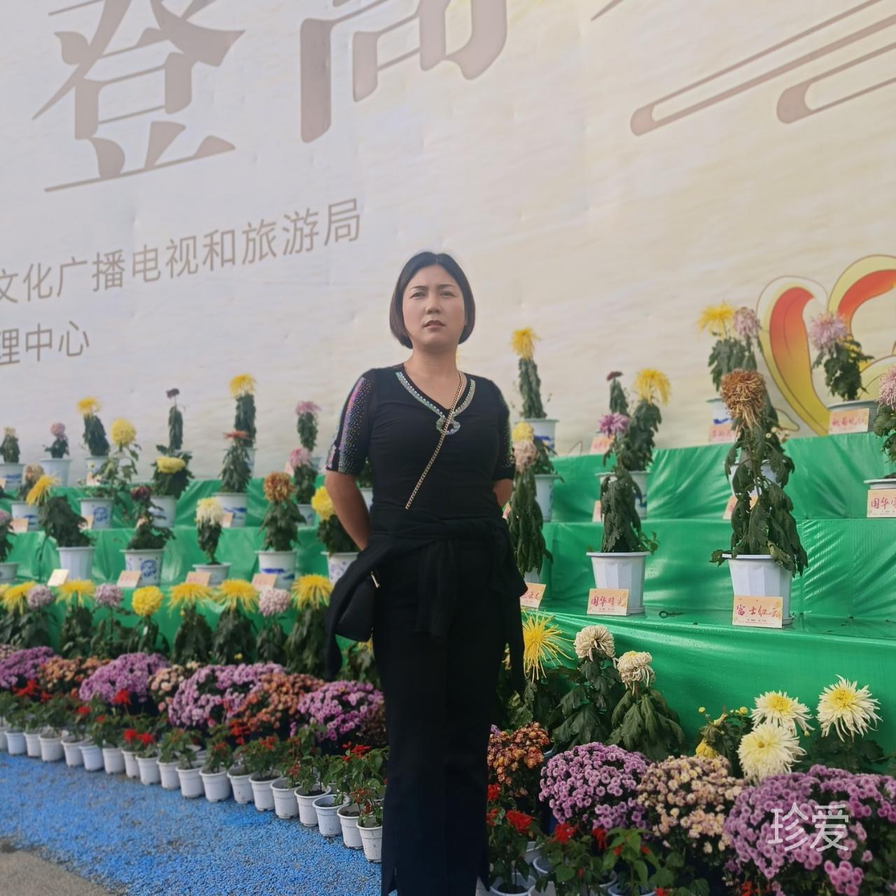 会员1501273011