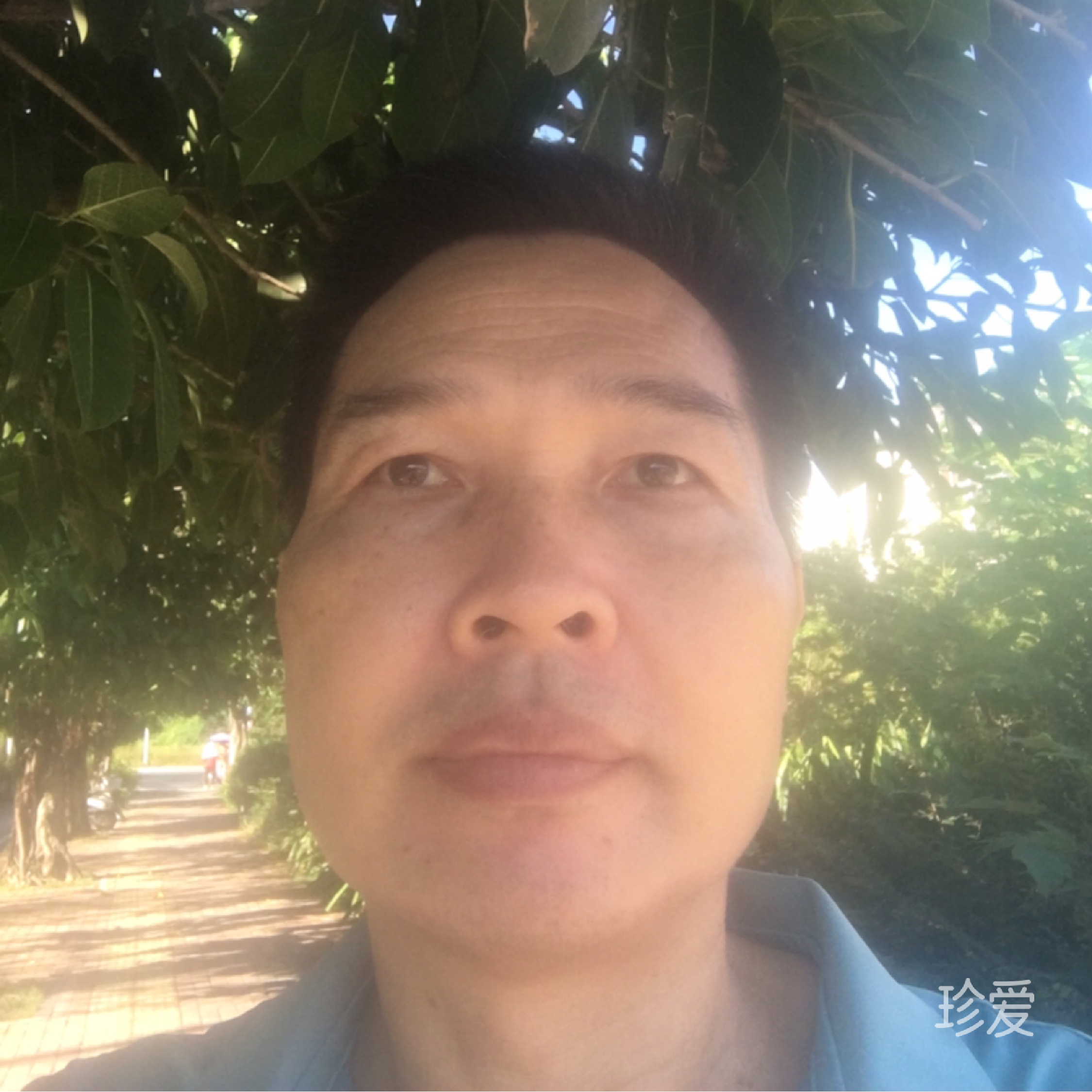阳春三月