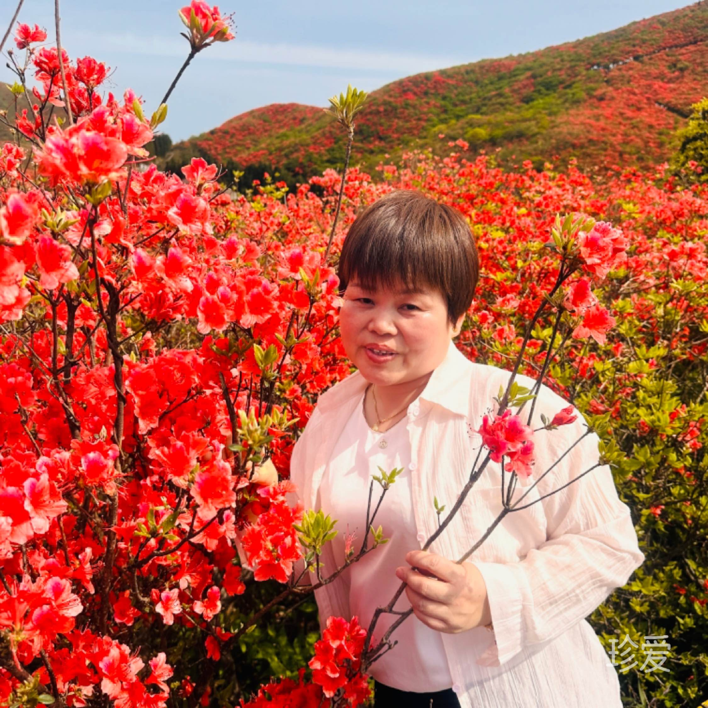 恬淡宁静